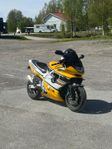 Yamaha Yzf 600R