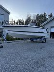 Ryds 550 VI Sport S-Line Mercury F80EFI, 80 trailer ingår-21
