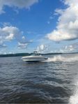 Sea ray 200 ink trailer
