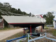 Scampi 30 - 79