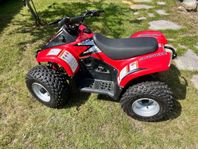 Suzuki Quadsport 50 cc