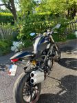 Ducati monster 1100 evo