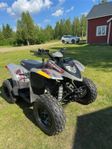 Polaris Phoenix 200