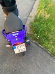 Pgo trex 50