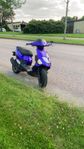 Pgo trex 50