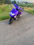 Pgo trex 50
