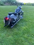 Shovelhead HD