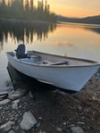 Sturpulpet evinrude 60 hk