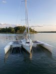 Trimaran Gepard