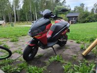 benelli quatro nove 49x