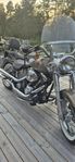 Harley Davidson
