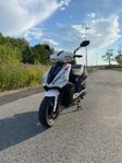 Motocr T-Rex 50 4t