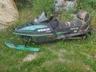 Arctic Cat wildcat 700 efi 1995.