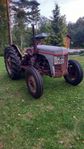 Massey Ferguson TEA 20 Bensin, " Grålle "