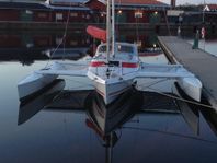 Dragonfly 800 Racing Swingwing