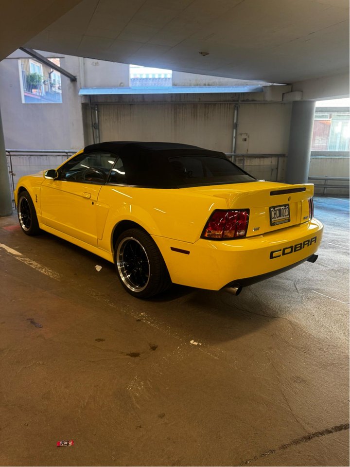Ford Mustang SVT Cobra