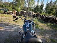 Harley-Davidsson Heritage Softail FLSTC