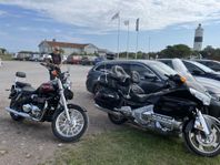 Triumph America