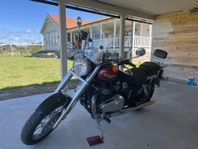 Triumph America