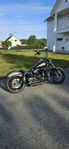 Harleydavidson Street-bob 