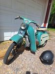 Monarscoot -57