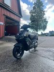 Viarelli Monztro Elmoped