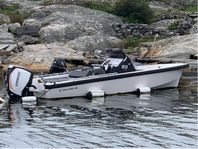 Goldfish 23 tender Mk2 2016/Evinrude 300 G2 2016