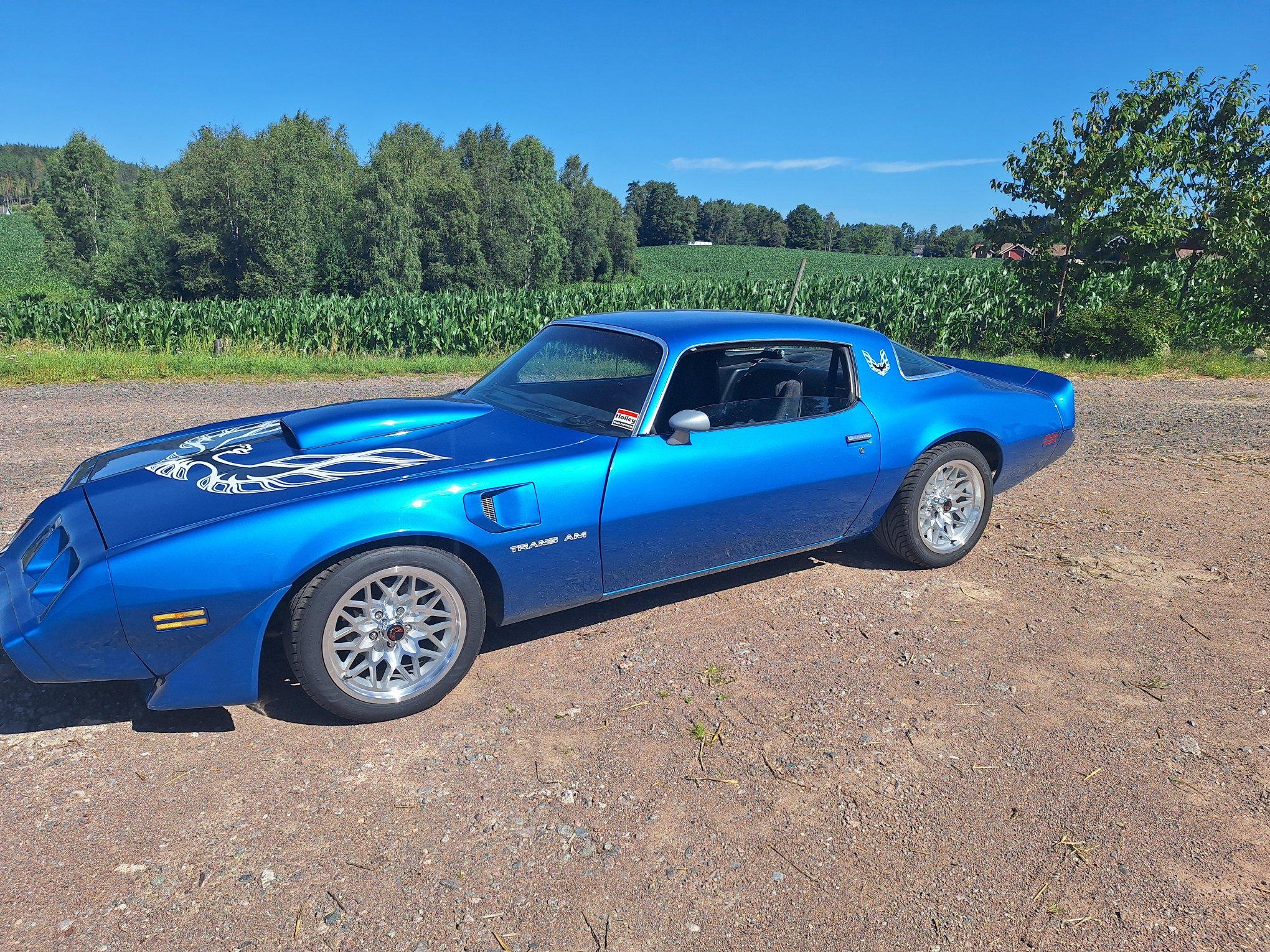 Pontiac Firebird TransAm 4.9 V8 Automatic, 3-trinn, 203hk, 1981