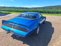 Pontiac Firebird TransAm V8