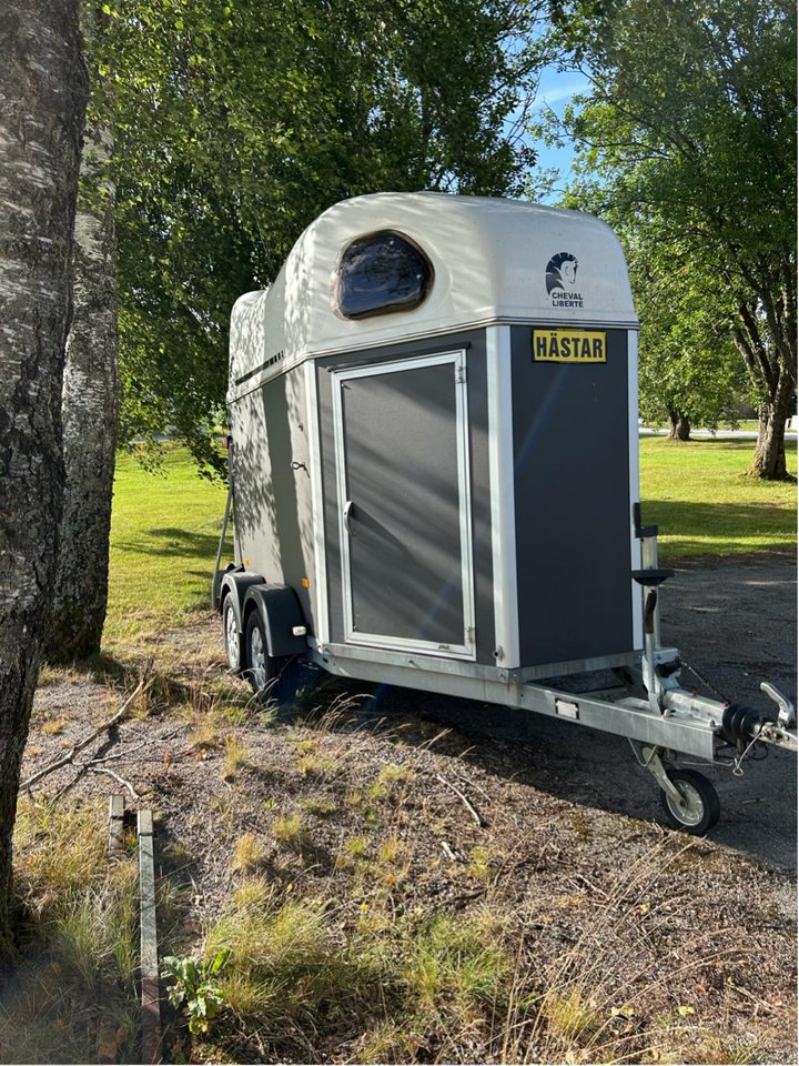 Cheval Gold - hästtransport 2022