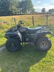 Yamaha Kodiak