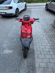 PEUGEOT SQUAB