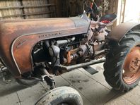 veterantraktor Porsche / Allgaier