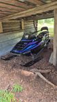 Polaris xlt sks