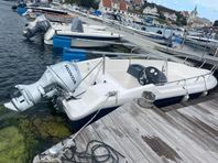 Seamaster 175 2012, Honda 50hp 2019