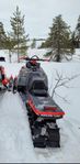 Arctic Cat Alpha Hardcore 2020