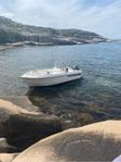 Ryds 535 DL -03 Yamaha f50