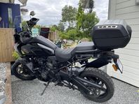 Harley Davidson Pan America RA 1250 Std -22
