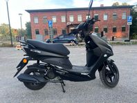 Viarelli primo - 2025