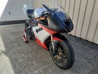 Triumph Daytona 675 Banhoj