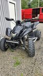 Dinli 450