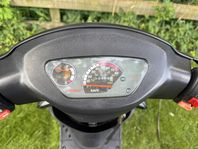 Viarelli GT1 2021