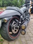 Harley Davidson Night rod special