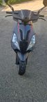 MotoCR T-Rex 50 (Euro 4)