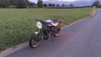 Vitpilen 401