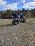 Yamaha R7