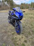 Yamaha R7