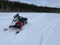 polaris Swb assault 146 2023