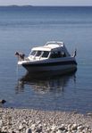 Yamarin 650 Big Catch, 200 hk