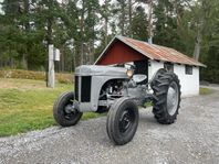 Grålle Tea 20